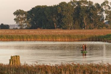 bild zingst ak2024x72 klein
