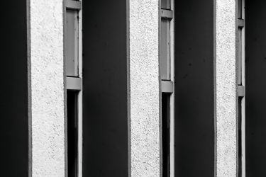 bild linien