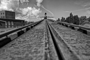 bild linien