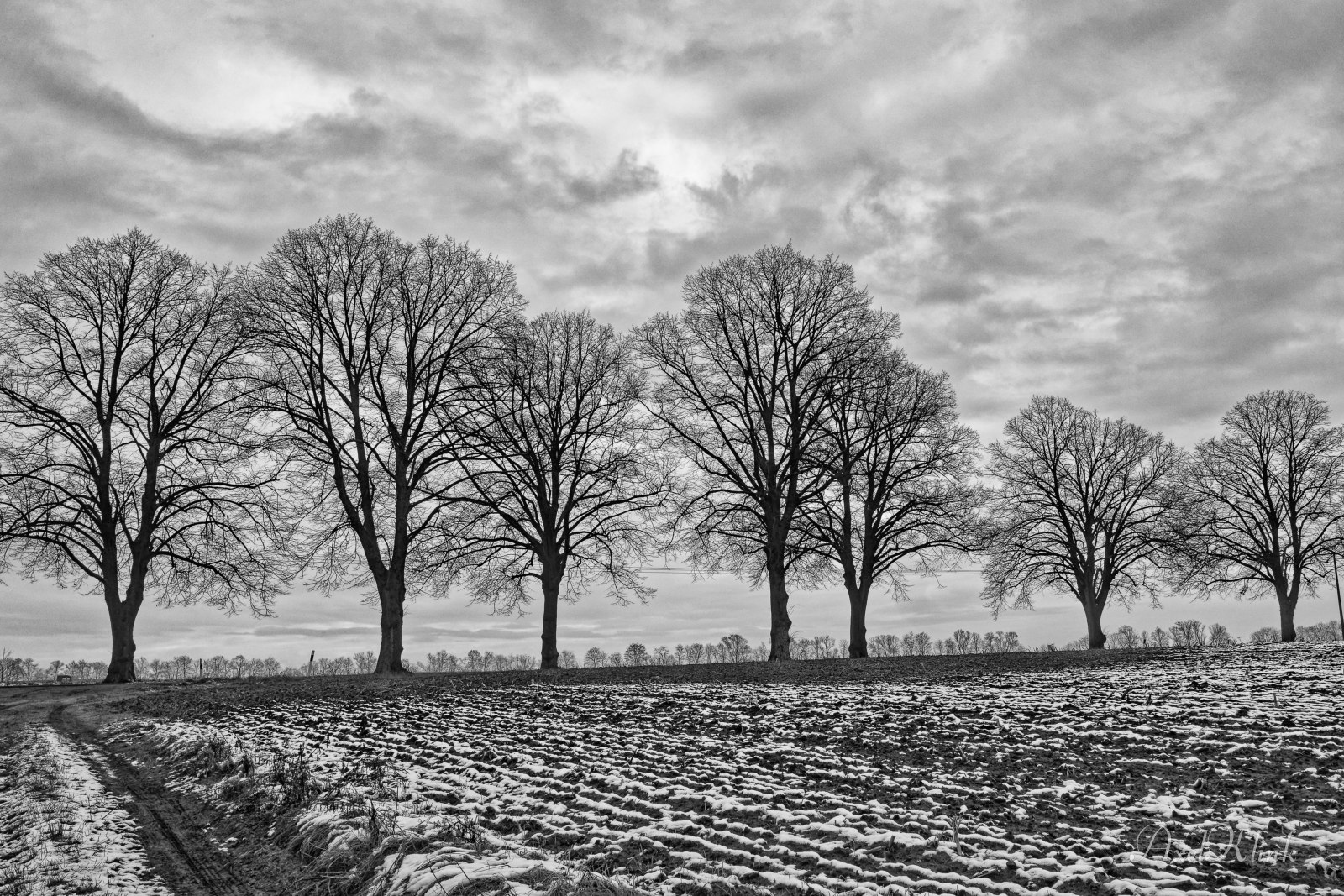Natur